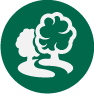 Stacks Image 6755